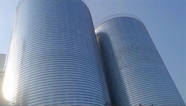 运河2座混凝土高架卷板仓